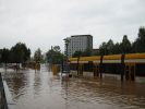Dateiname : 012.jpg
Dateigröße : 70KB
Abmessungen : 800x600
hinzugefügt am : 07.August 2004 012.jpg