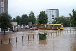 Dateiname : 068.jpg
Dateigröße : 95KB
Abmessungen : 800x534
hinzugefügt am : 07.August 2004 068.jpg
